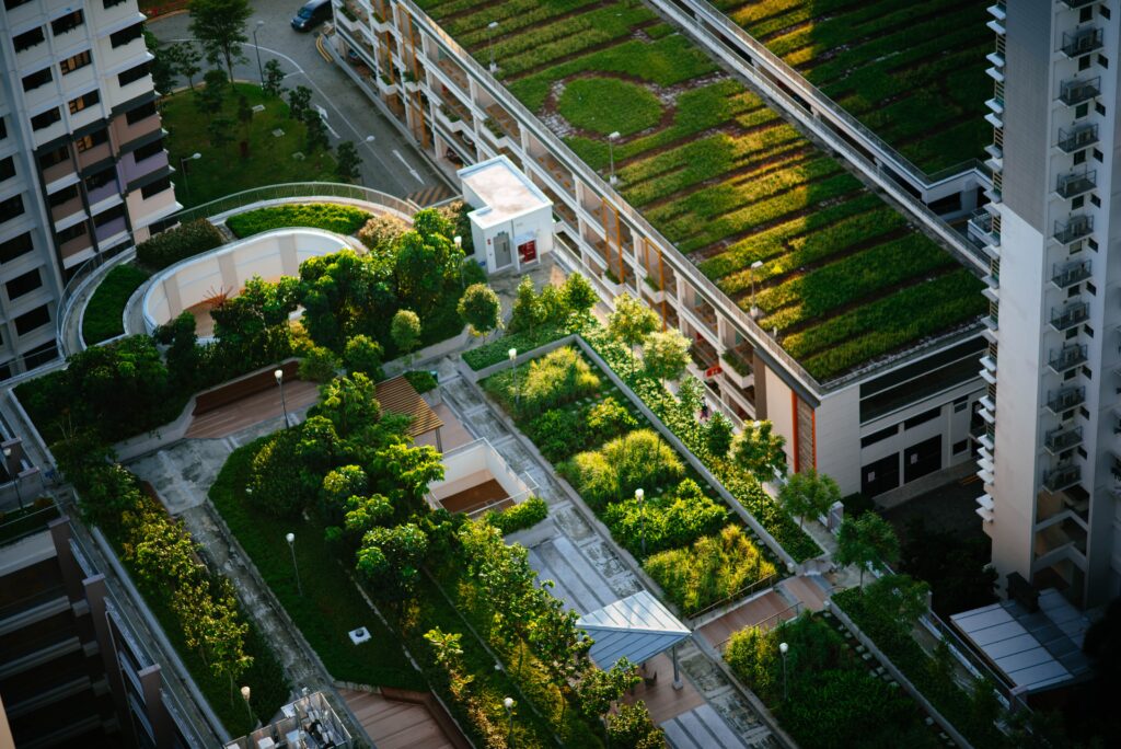 green roof